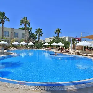 book here